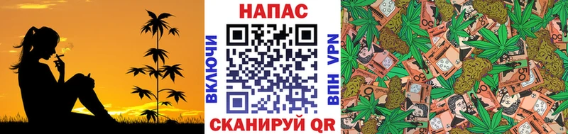 где продают наркотики  Березники  kraken рабочий сайт  Бошки Шишки сатива 